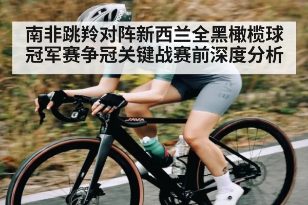 南非跳羚对阵新西兰全黑橄榄球冠军赛争冠关键战赛前深度分析